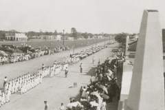 Cópia de Desfile Escolar (Linha Divisória)