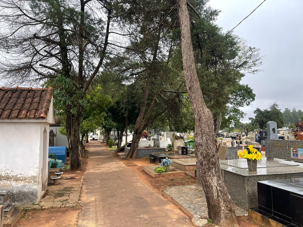CEMITERIO6