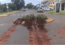 Tráfego de caminhões será proibido na rua Antônio João