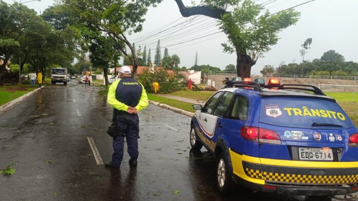 WhatsApp Image 2026-04-07 at 17.48.30