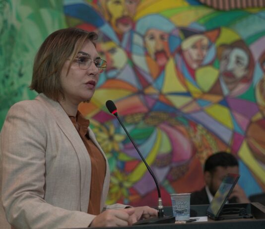 Ao transmitir mensagem aos vereadores, secretária anuncia licitação da Casa da Mulher Brasileira